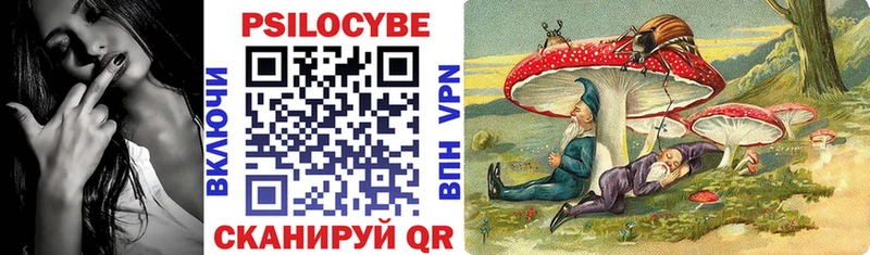 Галлюциногенные грибы мицелий  как найти закладки  Новочеркасск 