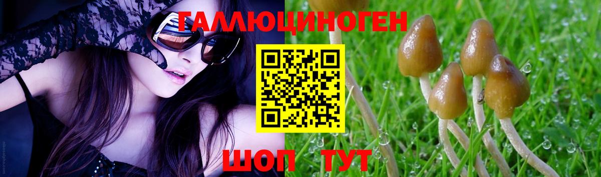 Новочеркасск  как найти наркотики  Вход с VPN  Галлюциногенные грибы мицелий 